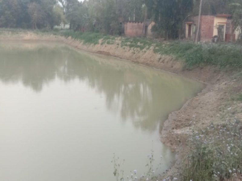 अयोध्या : किसान को पट्टे में मिले तालाब को बनाया अमृत सरोवर, लगान भी वसूल रहे 